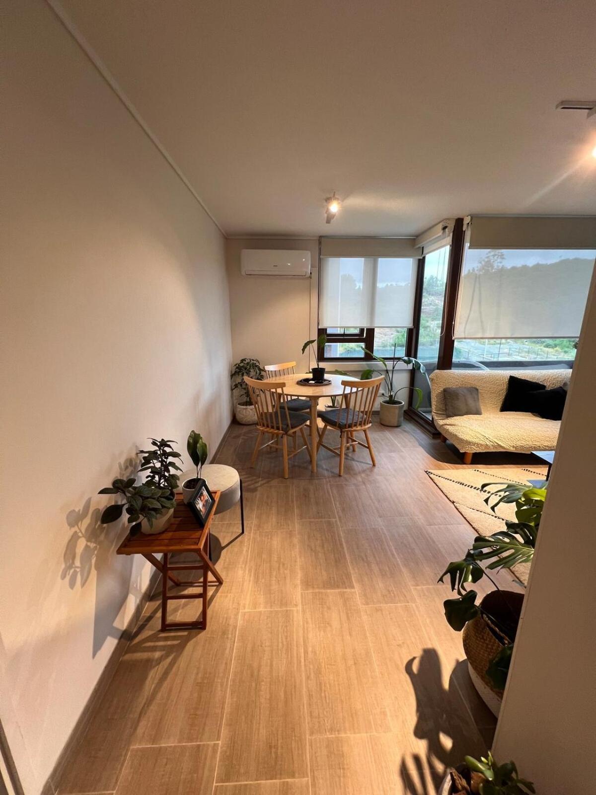 Apartamento Departamento Pelluco *